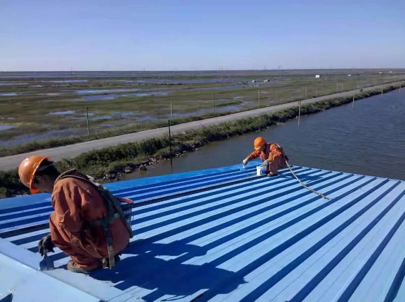 沈丘钢结构屋面漏水原因