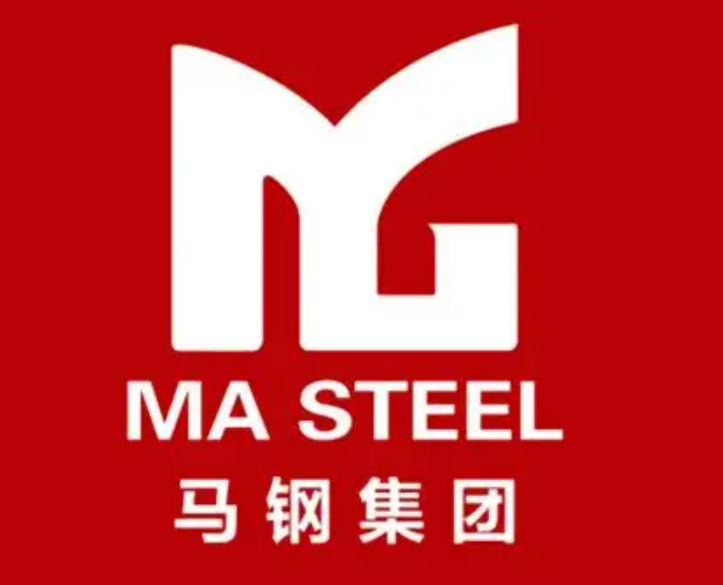 沈丘马钢集团
